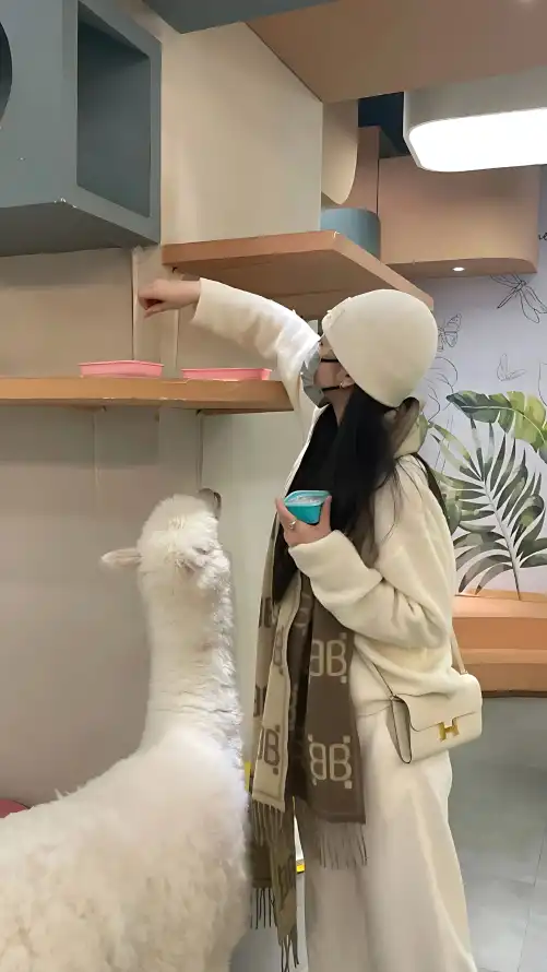 雨燕直播在线观看_精品一卡二卡三卡四卡分类_丰满熟妞区